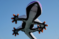 CountryfileLive2019-067