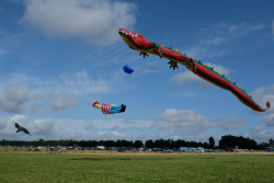 CountryfileLive2019-073