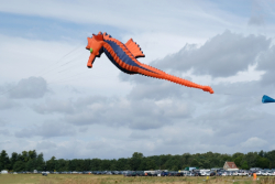 CountryfileLive2019-080