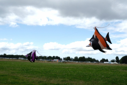 CountryfileLive2019-090