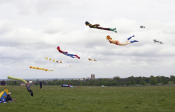 Beverley2002-001