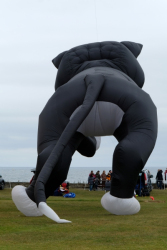 WhitleyBay2020-036