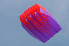 Fylde 2005