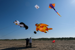 Huttoft2021-013
