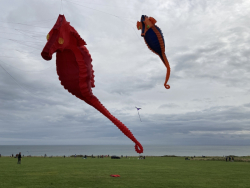 Bridlington2021-039