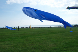 Filey2021-028