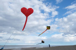 Huttoft2022-003
