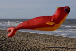 Huttoft2022-043