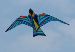 Sunderland2005-040