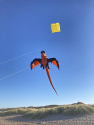 HuttoftSept2022-057