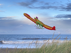 HuttoftSept2022-053