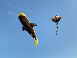 HuttoftMay2023-057