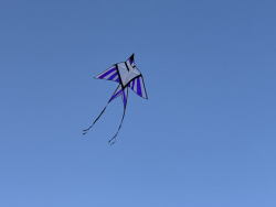 HuttoftSept2023-041