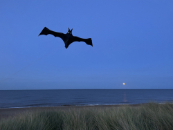 HuttoftSept2023-046