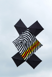 3d