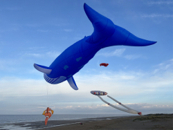 HuttoftMay2024-027