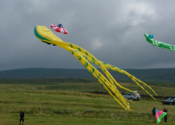 HighForce2005-024