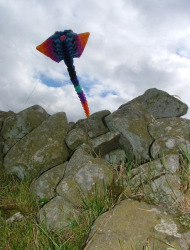 HighForce2005-052