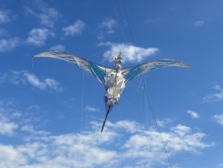 Hatchling2024-036