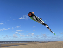 HuttoftMay2025-003