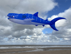 HuttoftMay2025-014