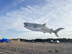 HuttoftMay2025-042