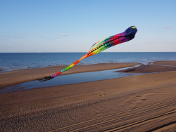 HuttoftJune2025-028.jpg