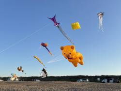 HuttoftJuly2025-013