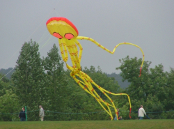 Harrogate2005-013