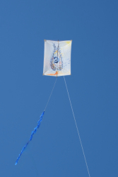 Cervia2026-039