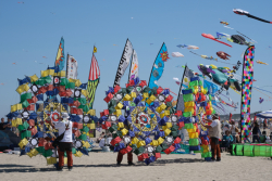 Cervia2026-049