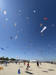Cervia2026-055