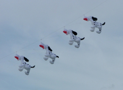 PonteOSOW2005-012