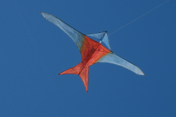 Cervia2026-061