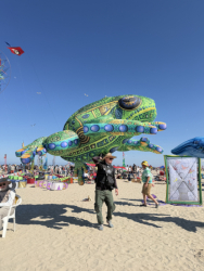 Cervia2026-081