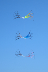Cervia2026-221