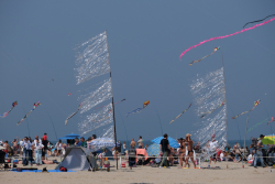 Cervia2026-229