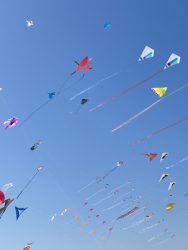 Cervia2026-232