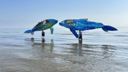 Cervia2026-316