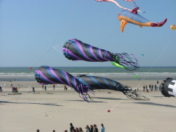 Berck2006-002