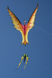 Cervia2026-360