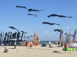 Cervia2026-370
