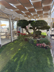 Cervia2026-402