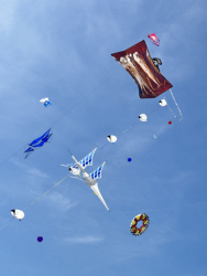 Cervia2026-416