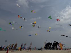 Cervia2026-442