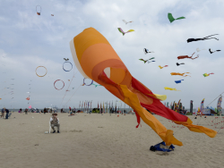 Cervia2026-452