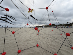 Cervia2026-479