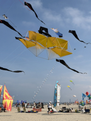 Cervia2026-487