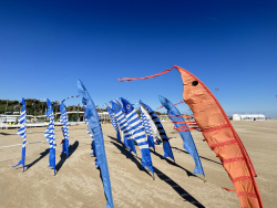 Cervia2026-490