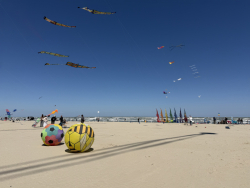 Cervia2026-497
